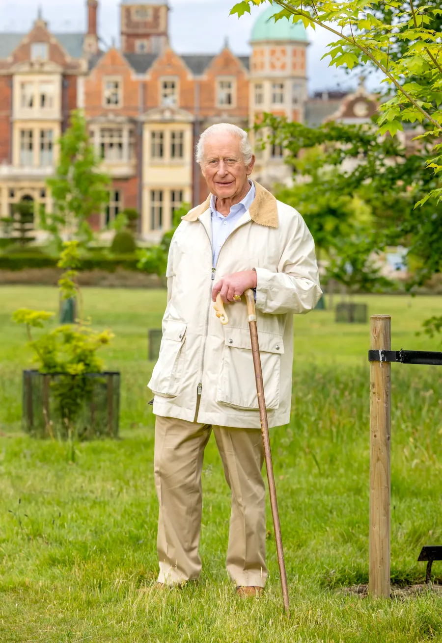 King Charles III Birthday Portrait