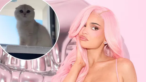 Kylie Jenner Reveals New Kitten Following the Death of Her Dog Norman