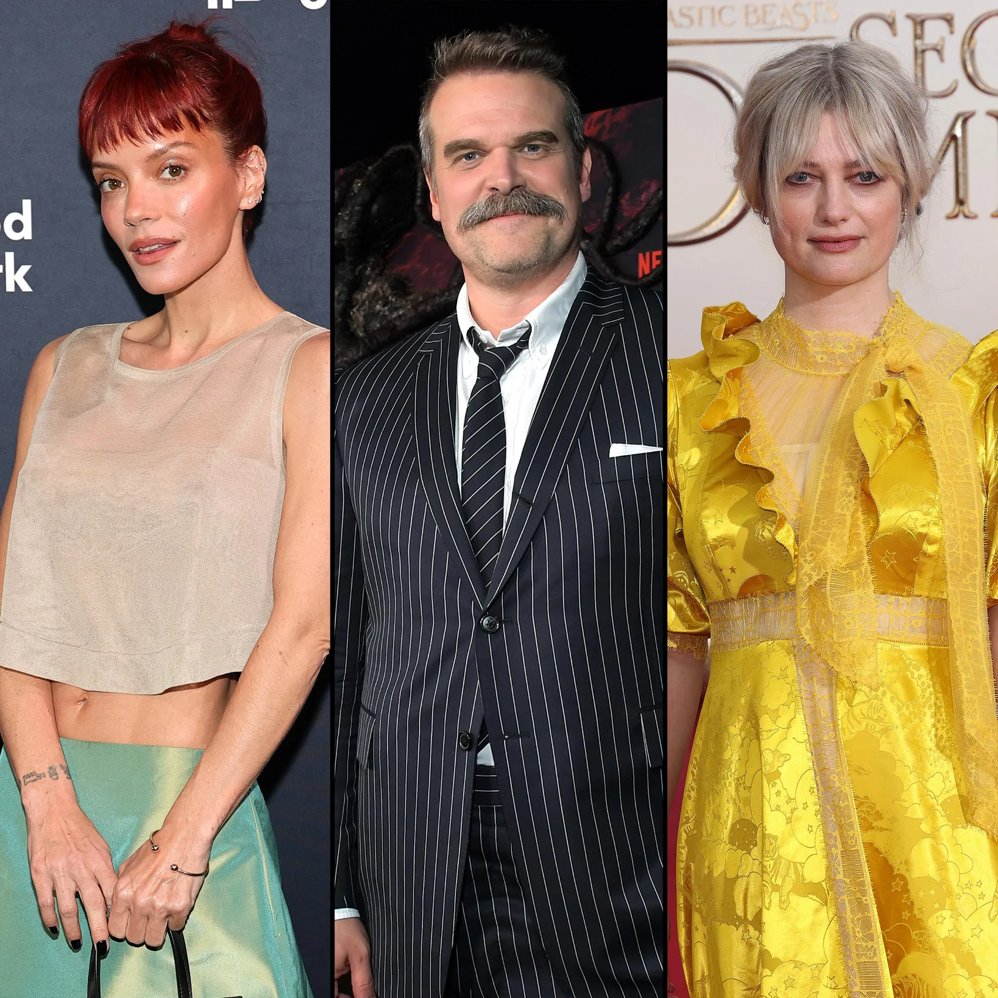 Lily Allen Likes Post From David Harbour s Ex Alison Sudol About Dealing With Bullies 2211840361 2245442484 1388443409
