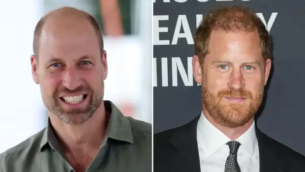 Royal Fears About Prince William Helicopter Use Are Connected to Harry