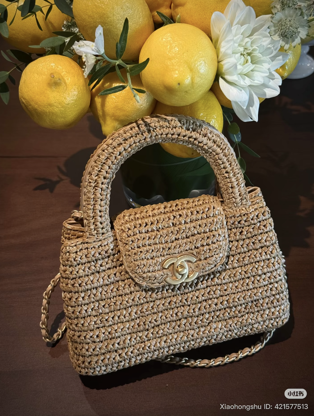 chanel 2025/26 cruise bag collectsion 26c kelly
