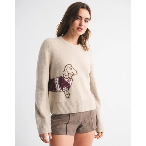 The A&F Madeline Crew Sweater