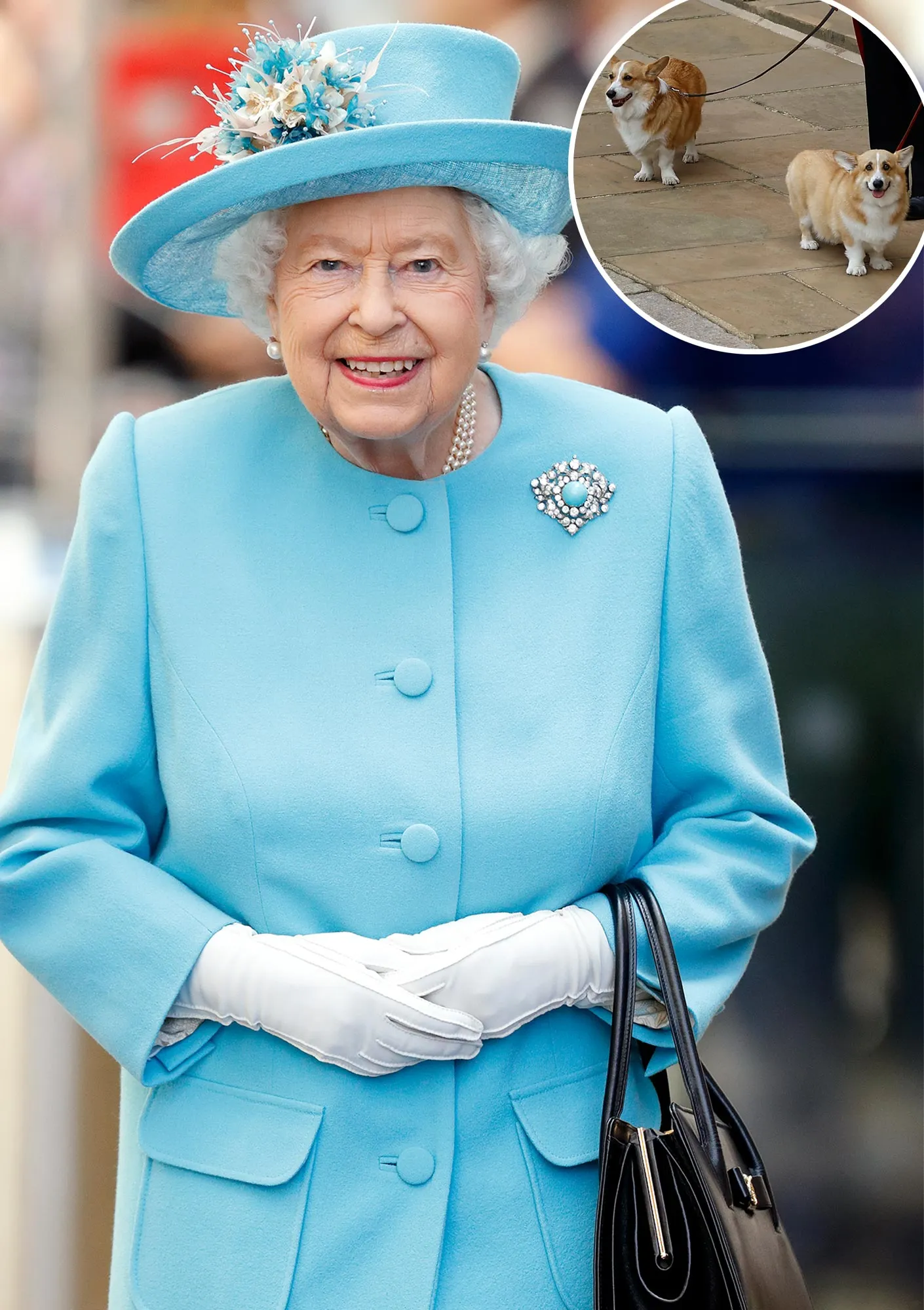 Whats Happening to Queen Elizabeth II Corgis