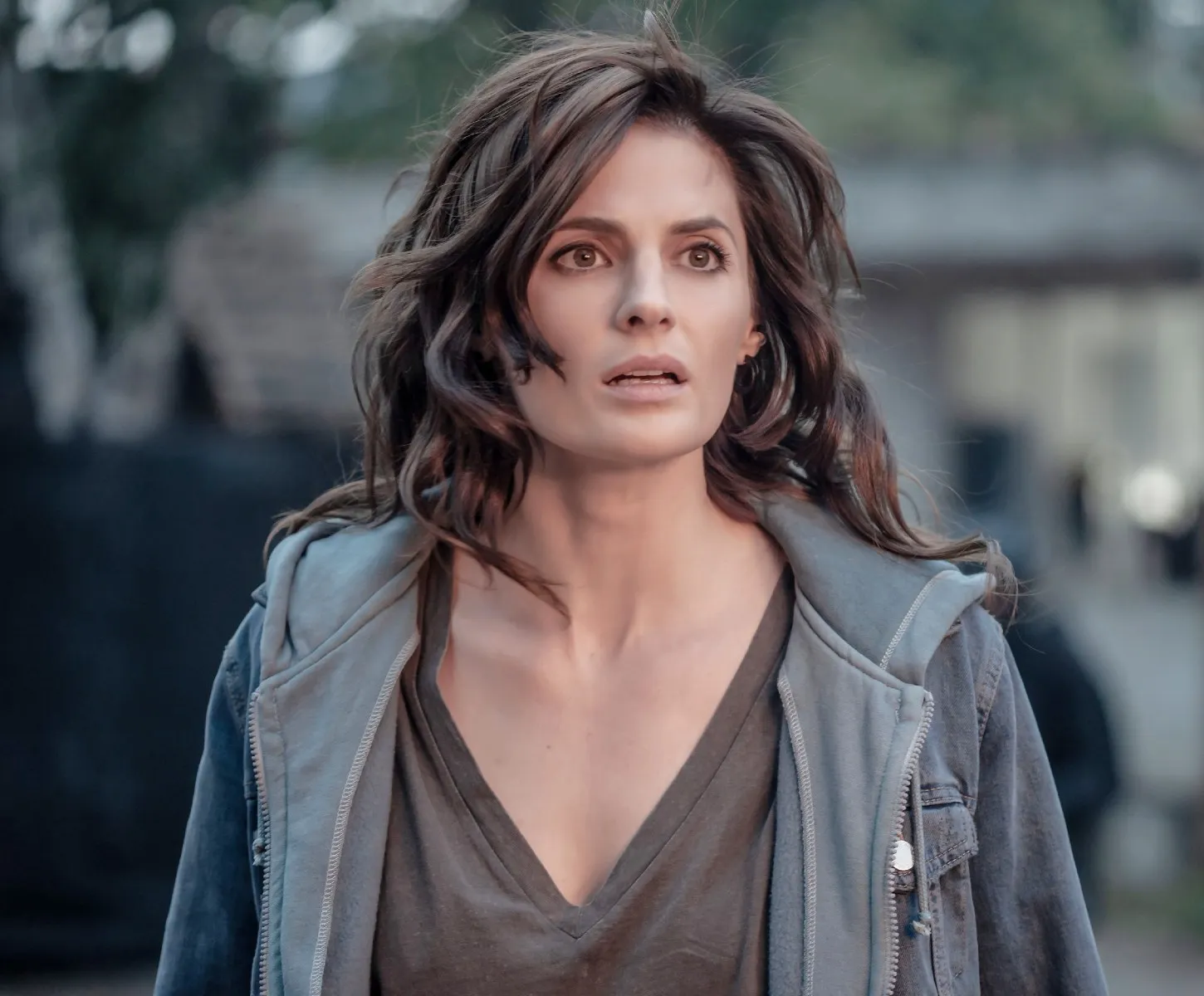 Stana Katic in Absentia