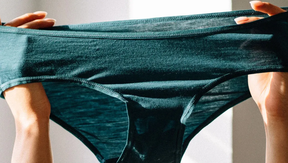 christmas-merino-wool-undies-bikini-pack-woolly