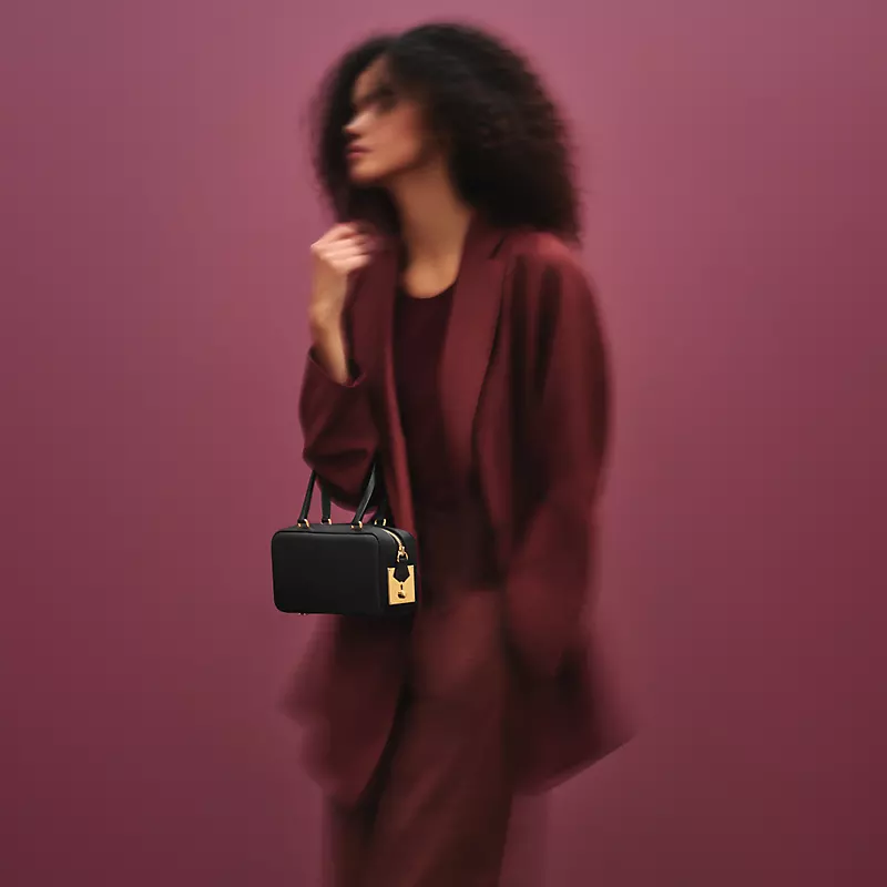 Hermès Faubourg Express Bag