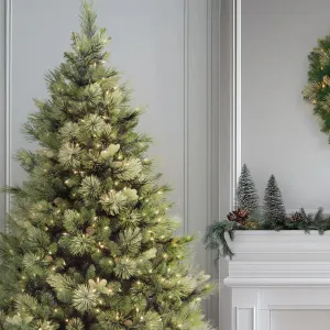 National Tree Company