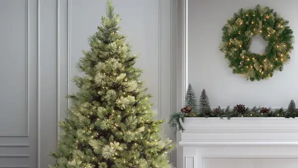 National Tree Company