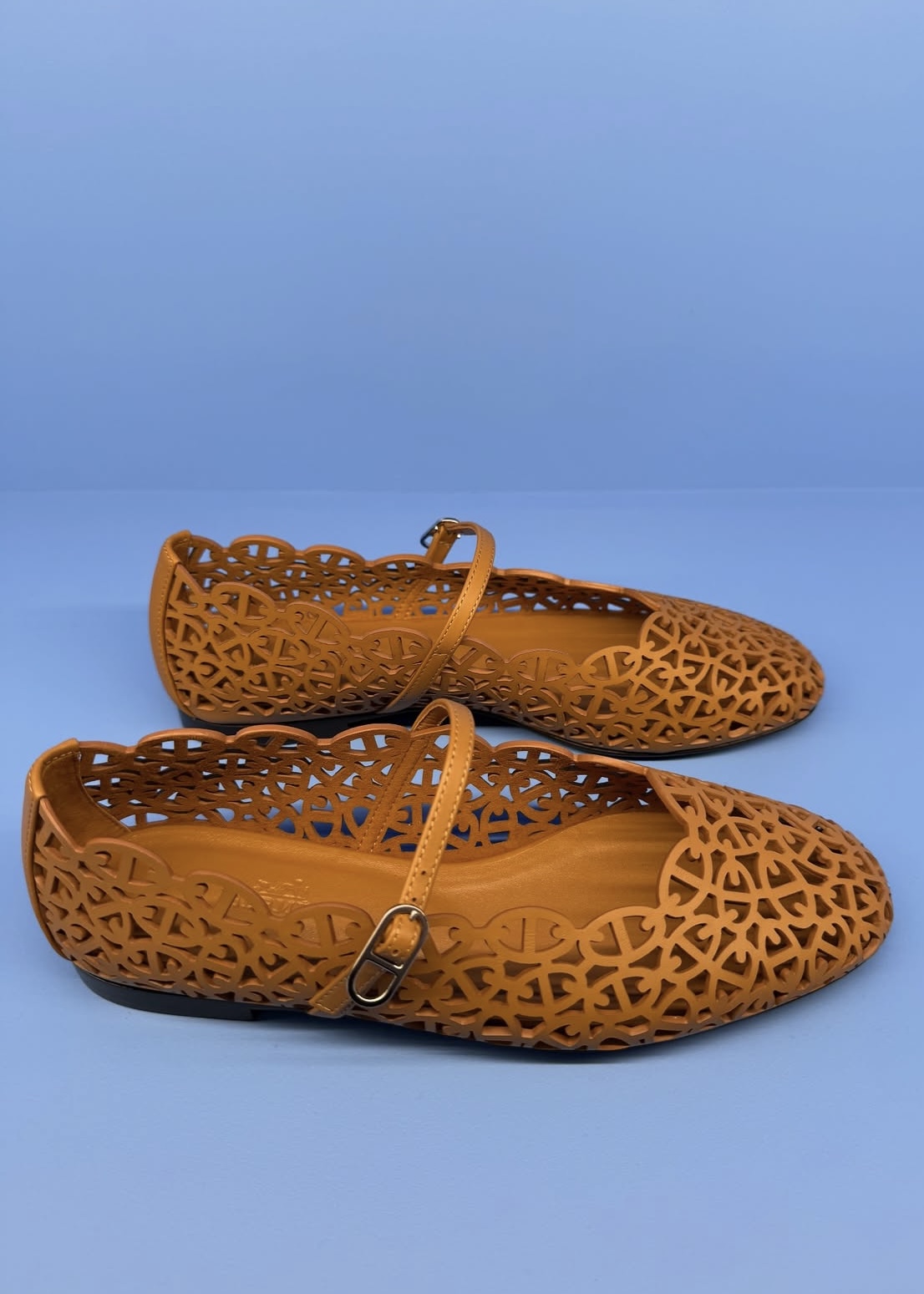 Must-Have Luxury Handbags and Shoes 2026