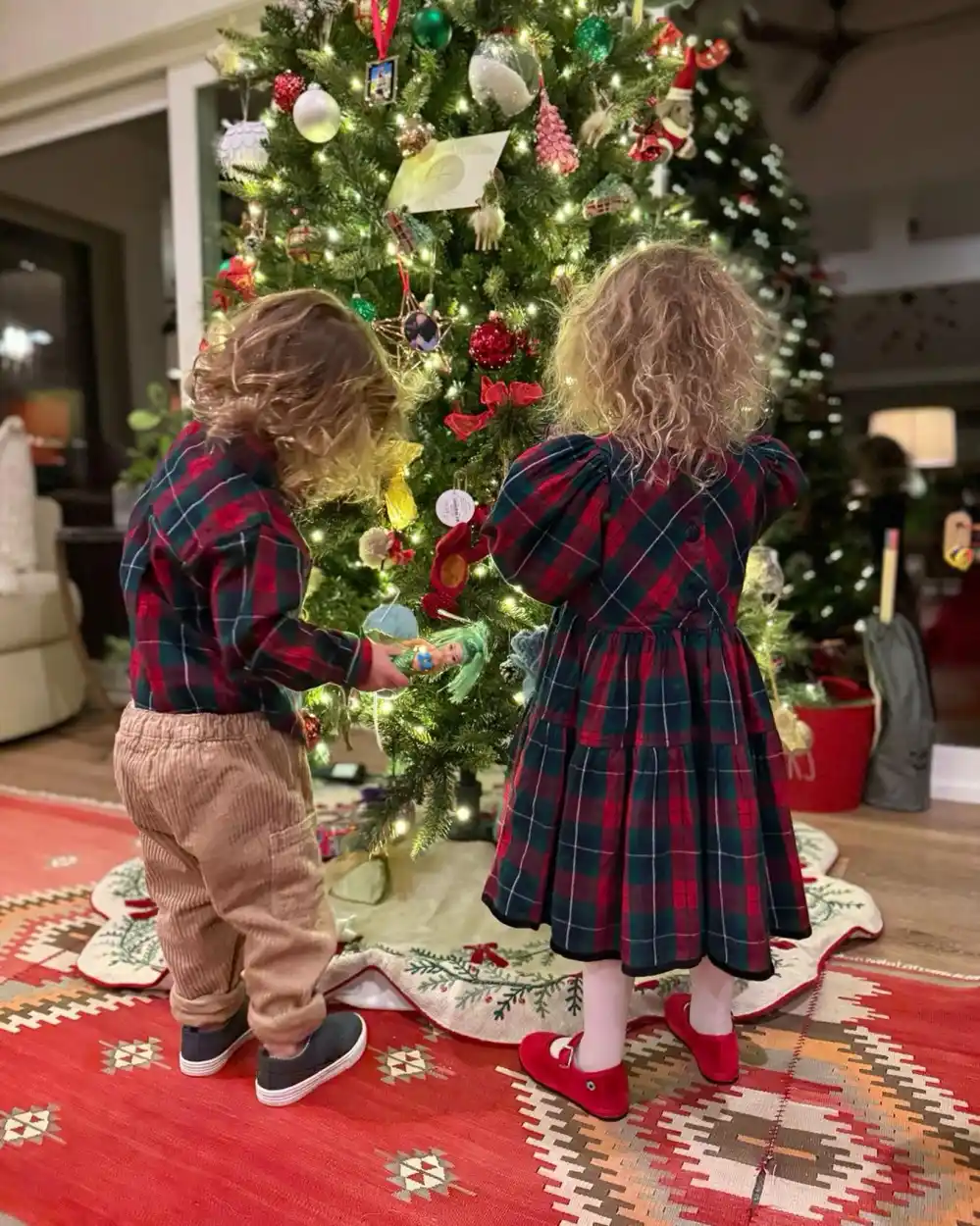 Hilary Swank Shares Rare Photo of Twins After Christmas
