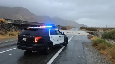 4 Dead Cats Found in Freezer, 17 Animals Recovered From 'Uninhabitable' Replica Luxury Handbag