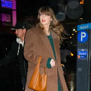 taylor swift sweater dress