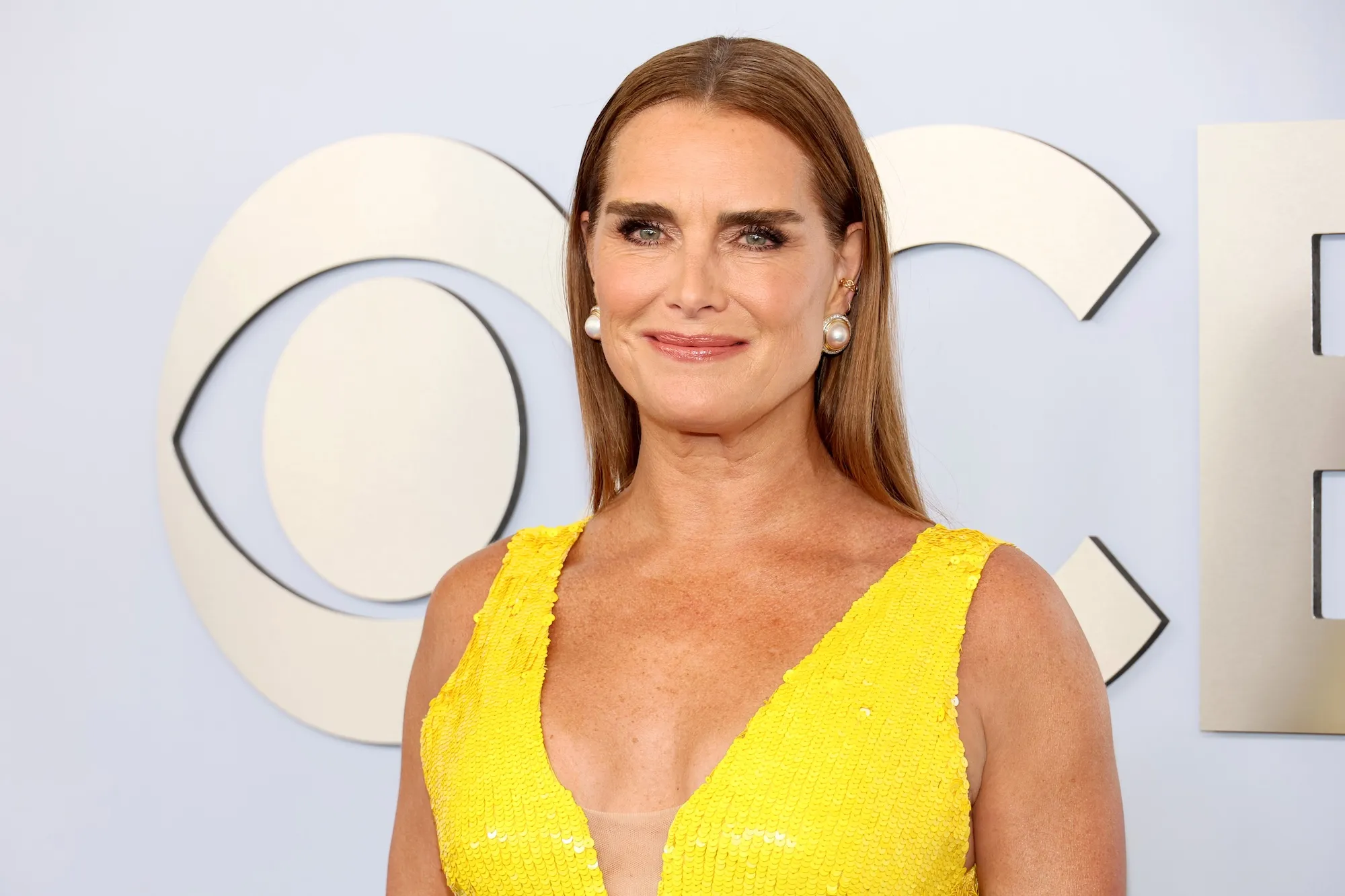 brooke shields bissell little green