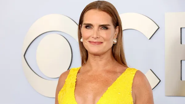 brooke shields bissell little green