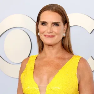 brooke shields bissell little green