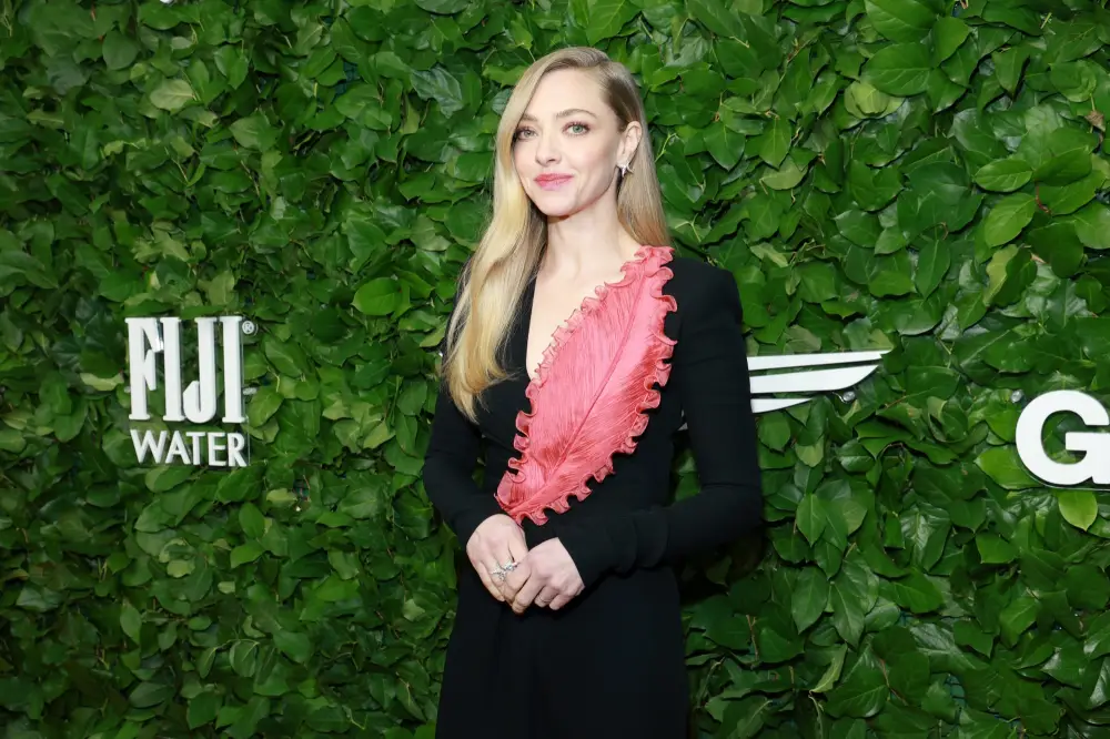 GettyImages-2249468815-amanda-seyfried