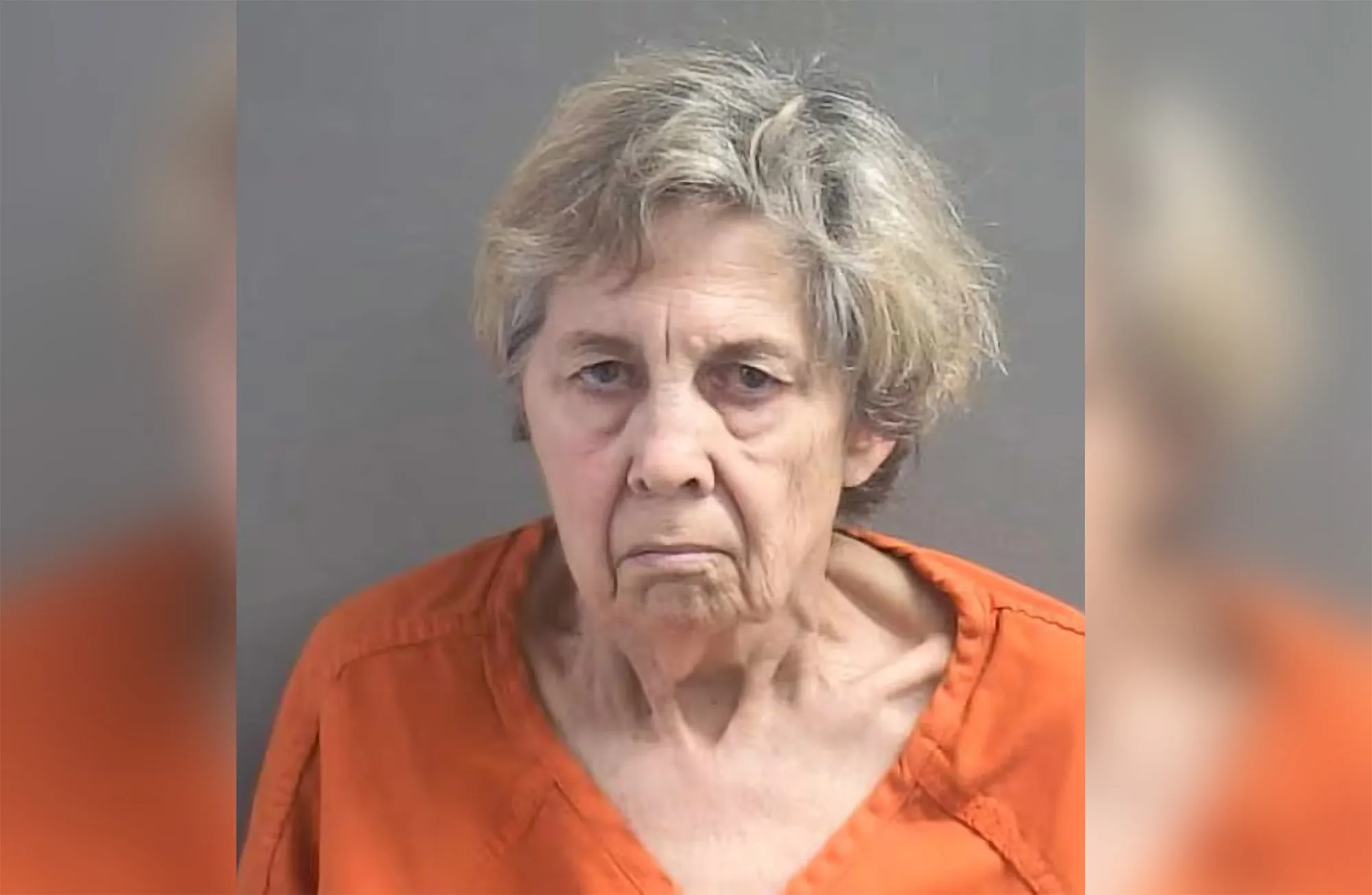 Great Grandmother Arrested After Attempting Murder Suicide Plan With Disabled Great Granddaughter