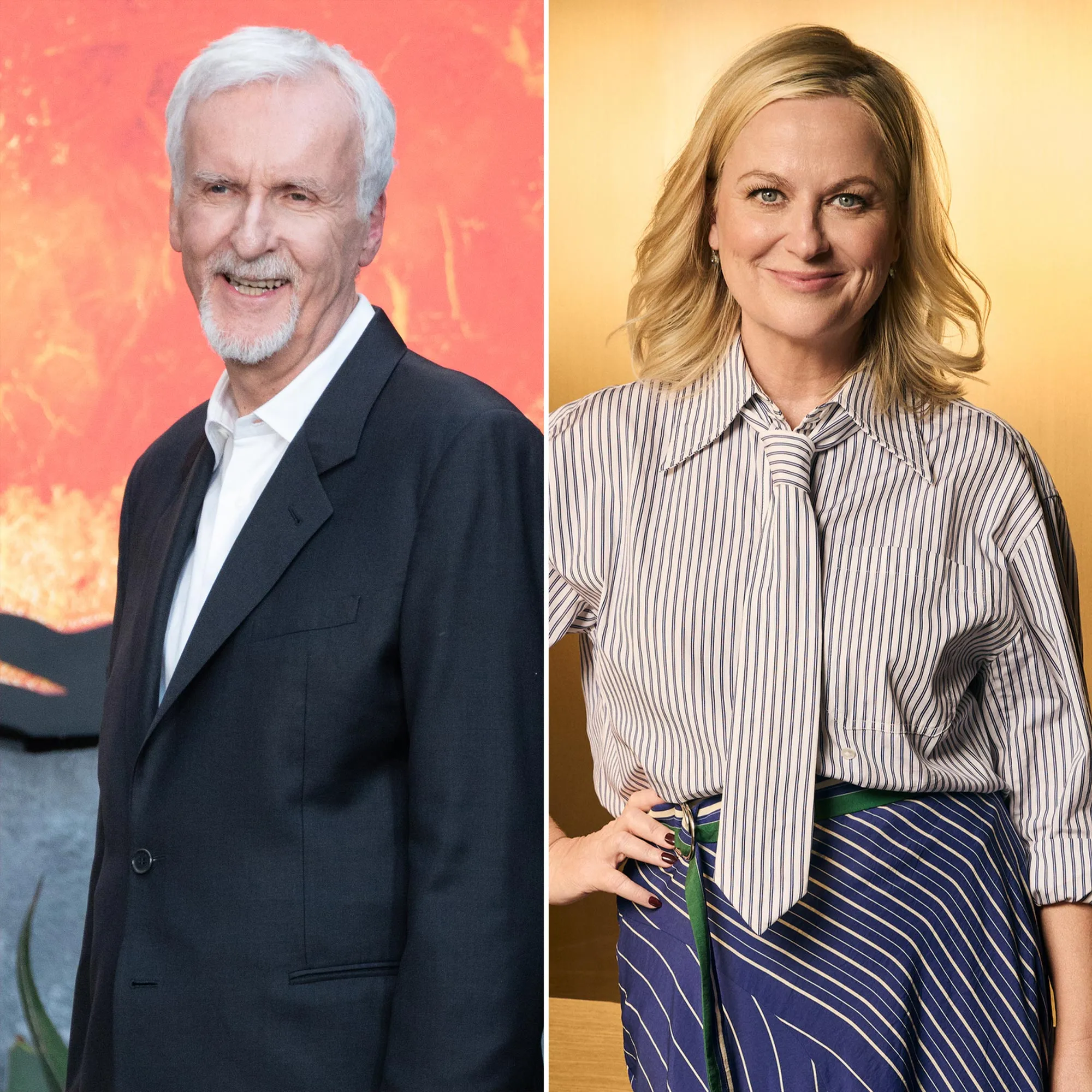 James Cameron Slams Amy Poehler Ignorant Joke About His Marriage 2250724440 2214453497