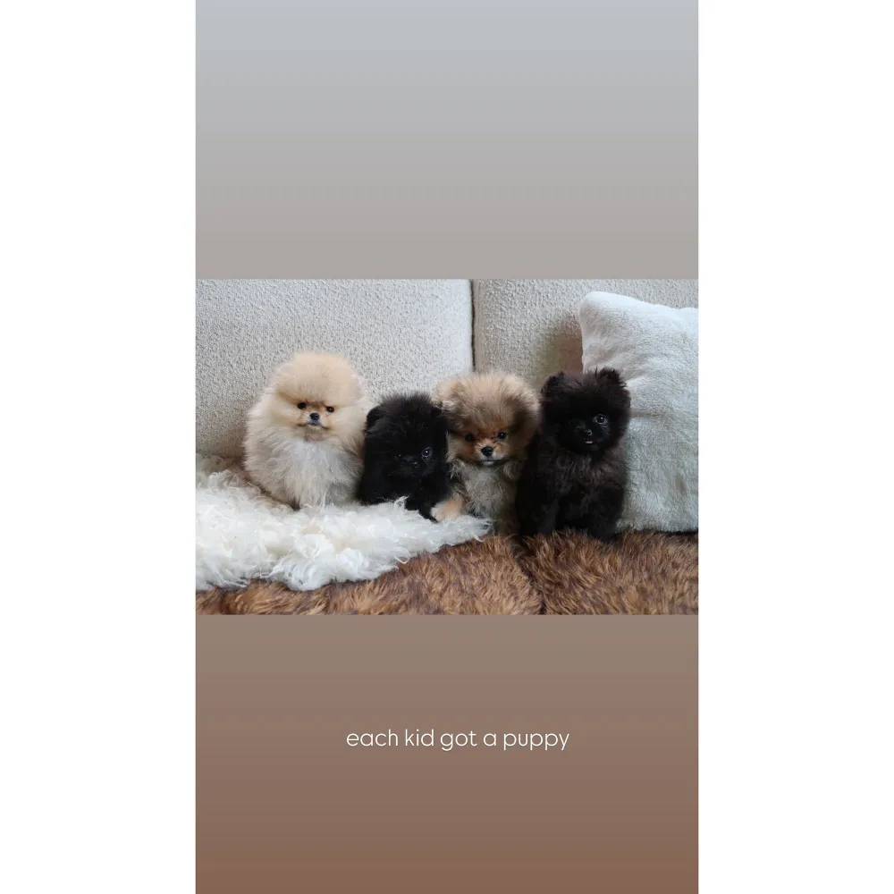 Kim Kardashian Gifts Each of Her 4 Kids a New Puppy for Christmas