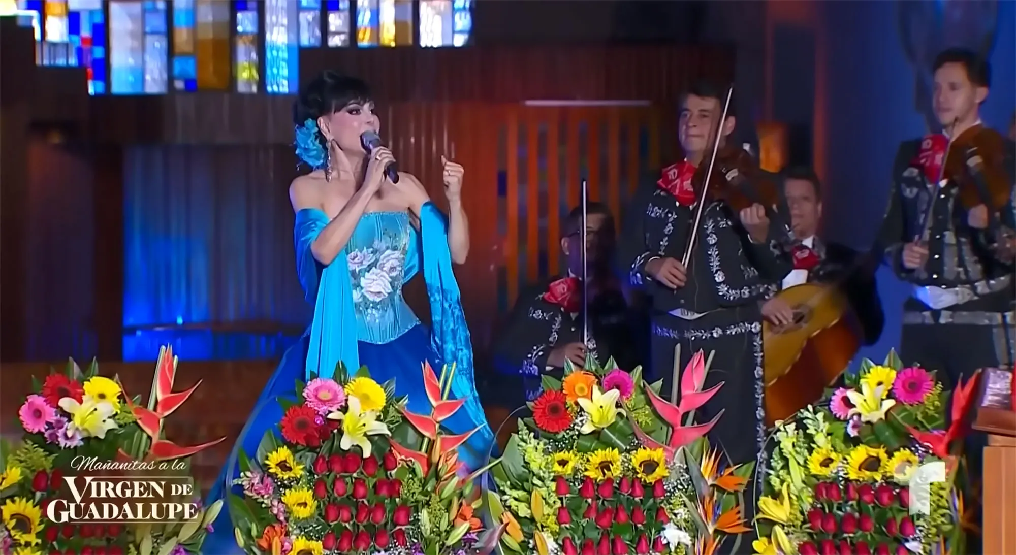 Maribel Guardia Dress 2