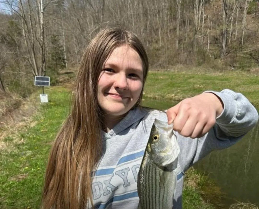 Missing Teen Wynter Wagoner Found After 2 Months Arrested Man Claims Misunderstanding Rockcastle County Sheriff s Office