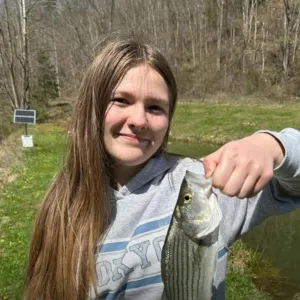 Missing Teen Wynter Wagoner Found After 2 Months Arrested Man Claims Misunderstanding Rockcastle County Sheriff s Office
