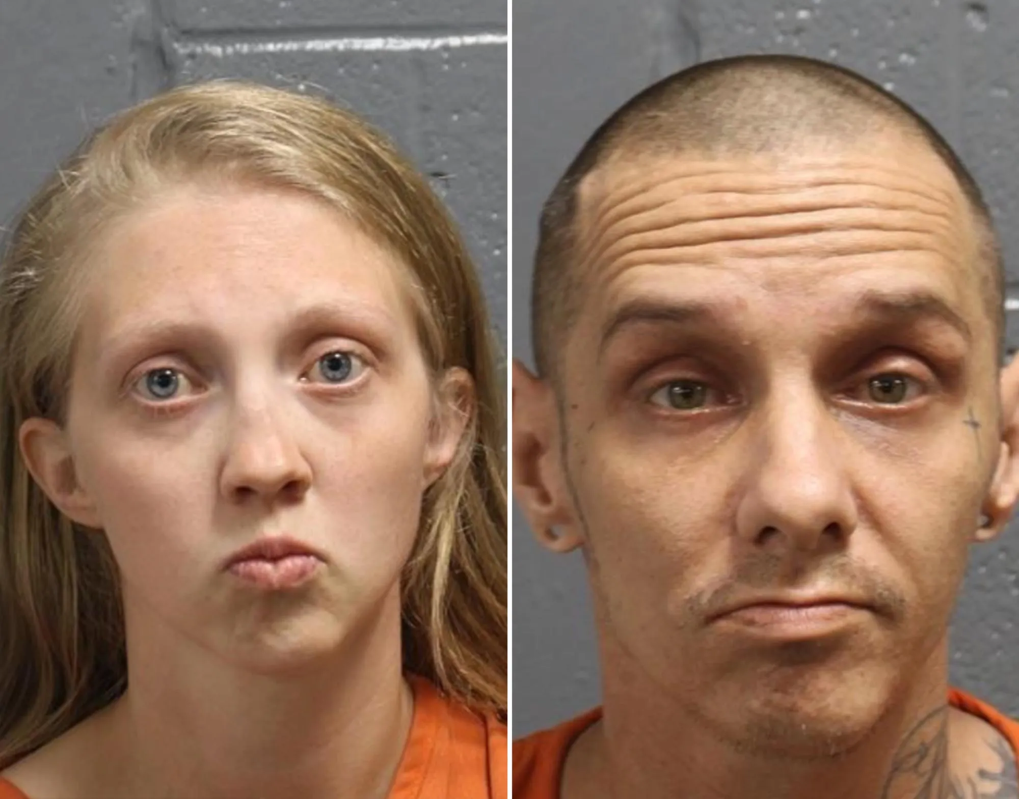 Parents Facing Upgraded Murder Charges After 2 Year Old Killed by Family Dog