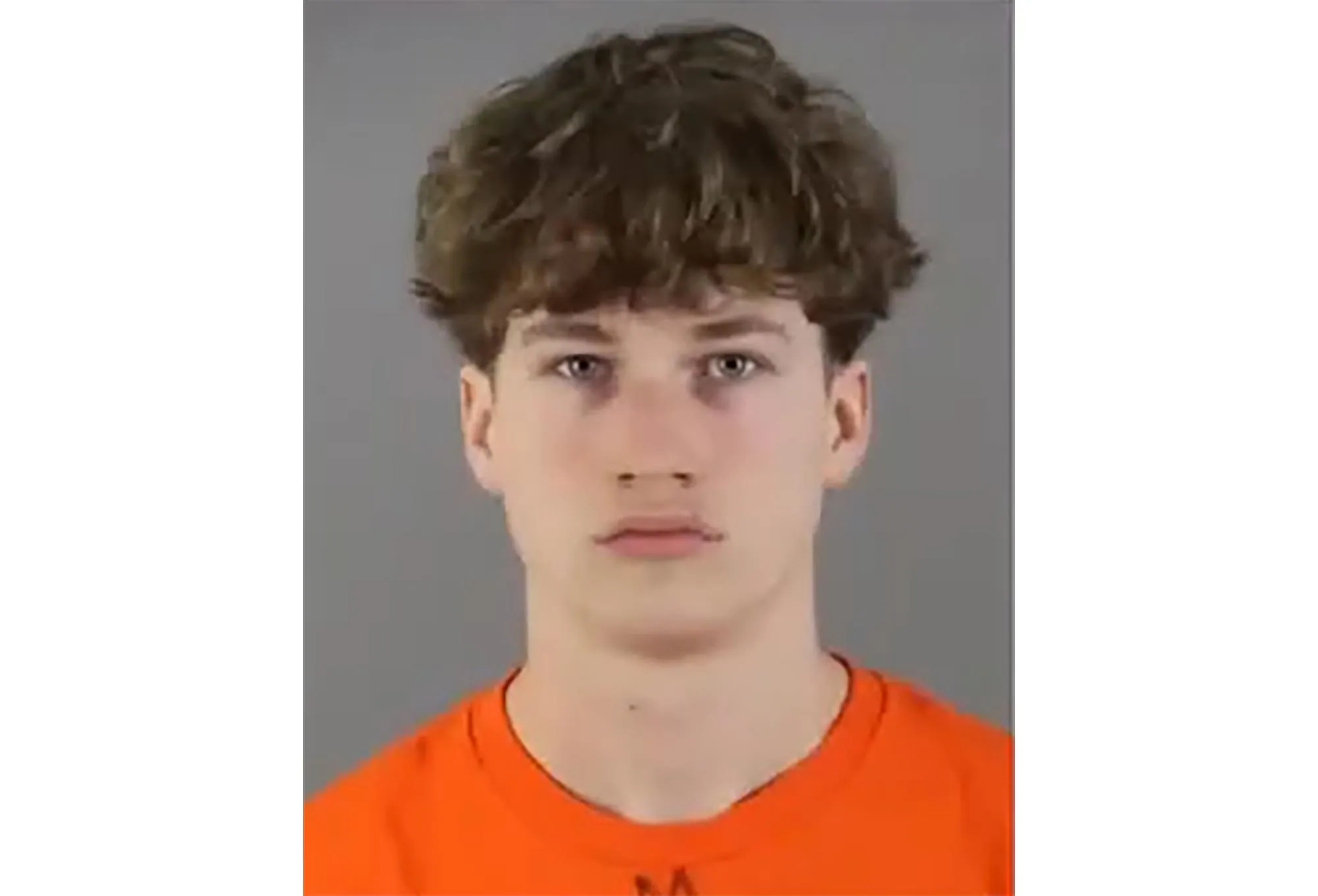 Road Raging Wisconsin Teen Accused in Brutal Beating Death of Elderly Man Pewaukee Police Department