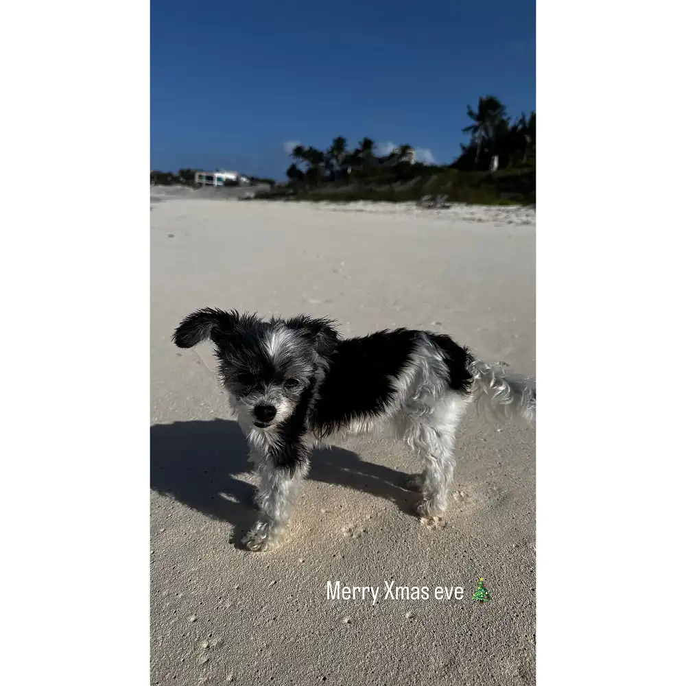 Tom Brady spends shirtless holidays with son Jack 3