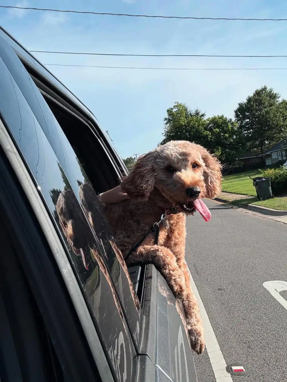 Who Is Ty Simpson 5 Things to Know About the University of Alabama Quarterback e3efed31 65e6 475b 80a3 f368cd8f3e2d