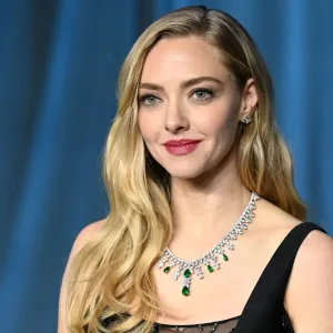 Amanda Seyfriend Handbag