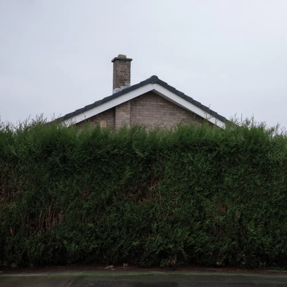 best albums 2025 the 1975