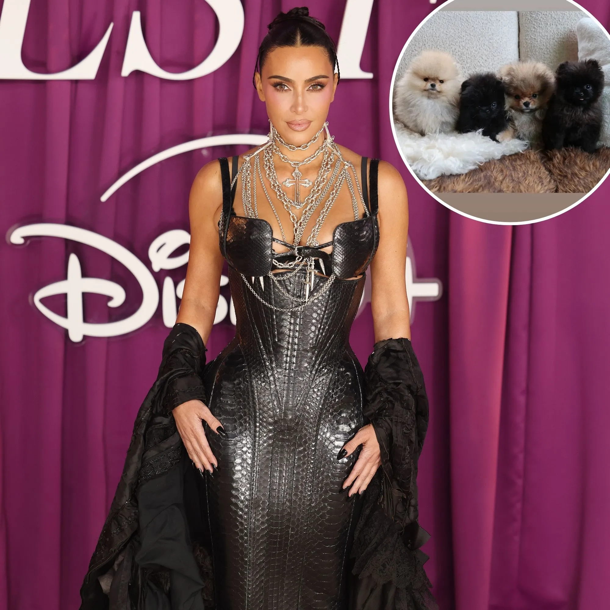 Kim Kardashian Gifts Kids 4 Dogs