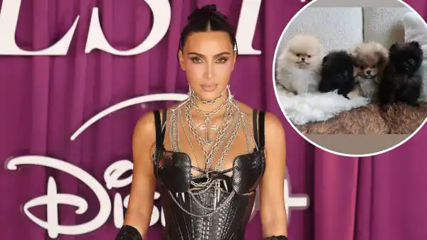 Kim Kardashian Gifts Kids 4 Dogs