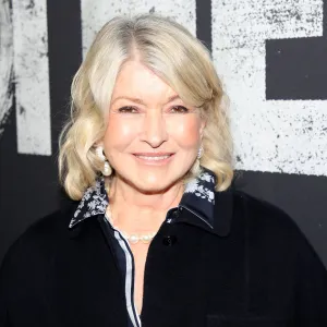 Martha Stewart Cardigan Lookalike