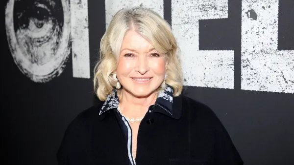 Martha Stewart Cardigan Lookalike