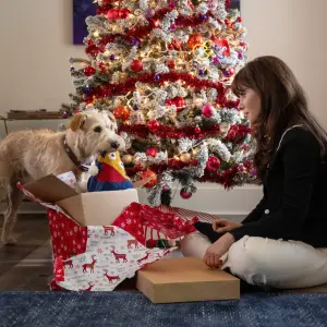 Gus and Zooey Deschanel in Merv