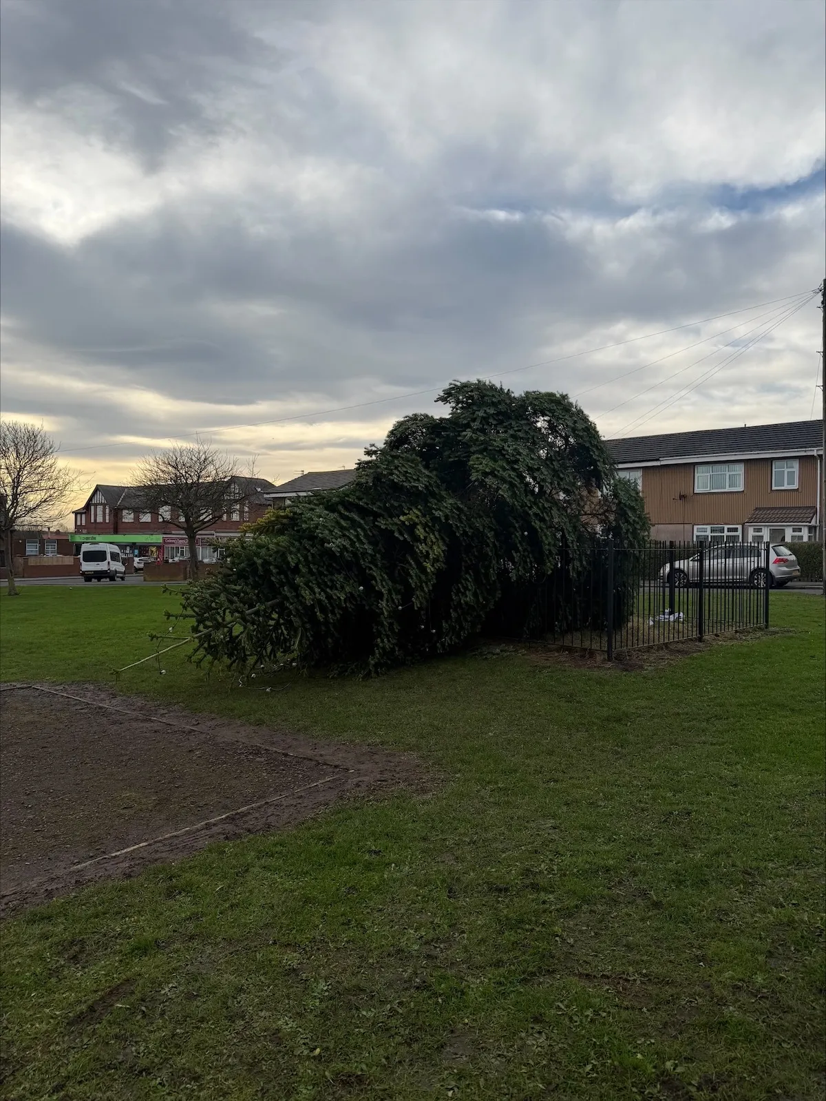 Vandals Chop Down Massive Christmas Tree in England After Lighting Ceremony