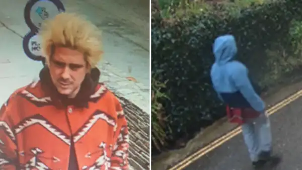 Alexander Key Feature