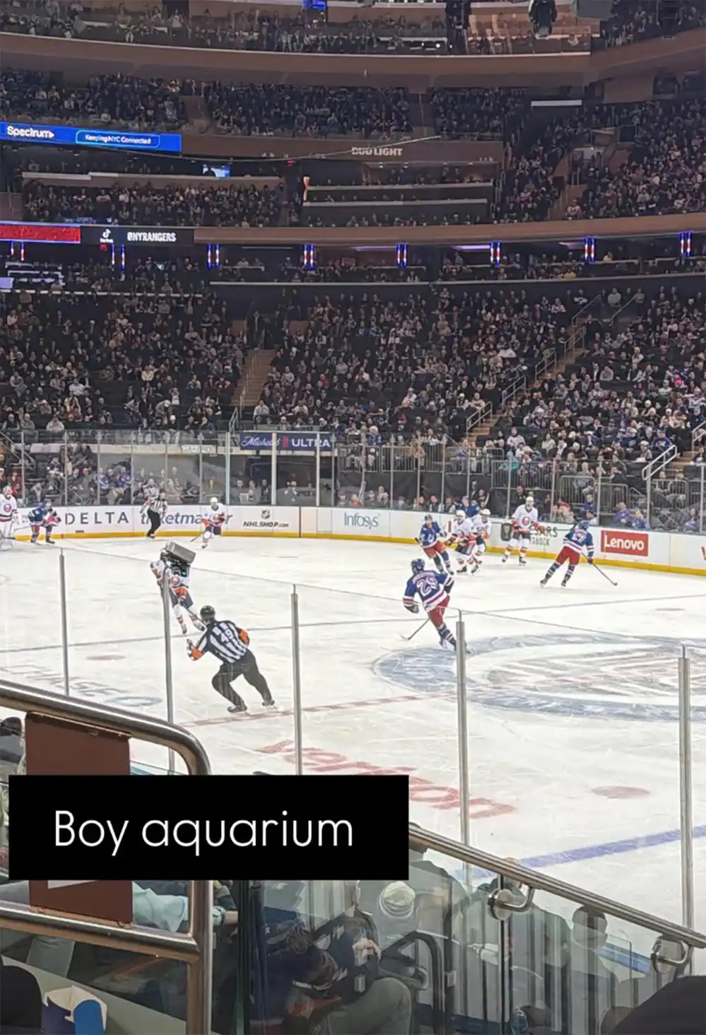 Amanda Batula Jokes About Checking Guys Out at a Hockey Game After Kyle Cooke Split Boy Aquarium