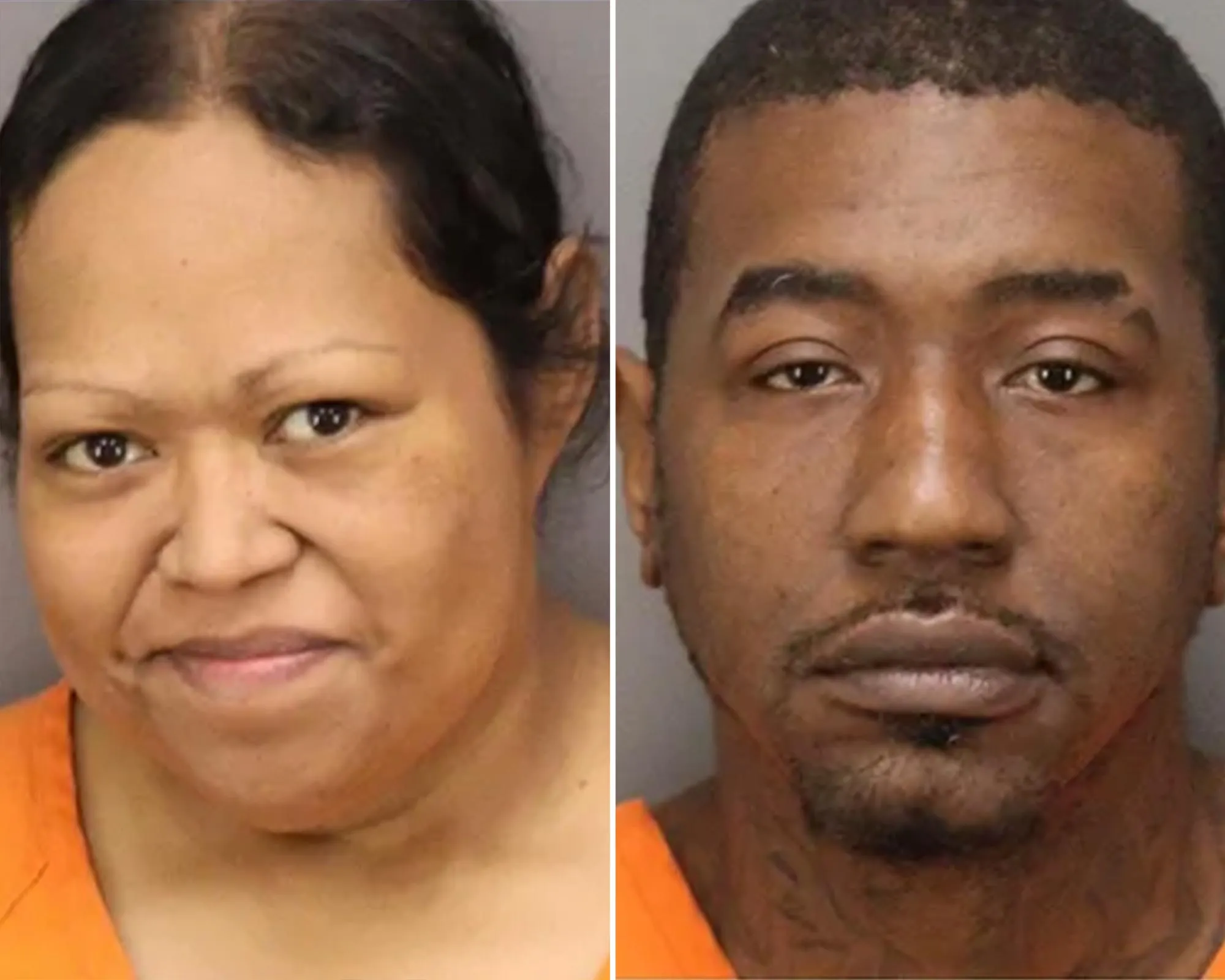 Couple Arrested After Abandoning 9 Puppies and 2 Adult Dogs in Park