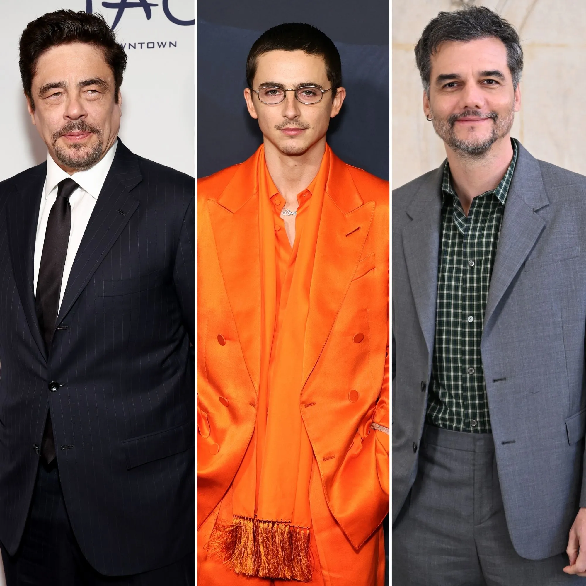 Benicio del Toro, Timotheé Chalamet y Wagner Moura