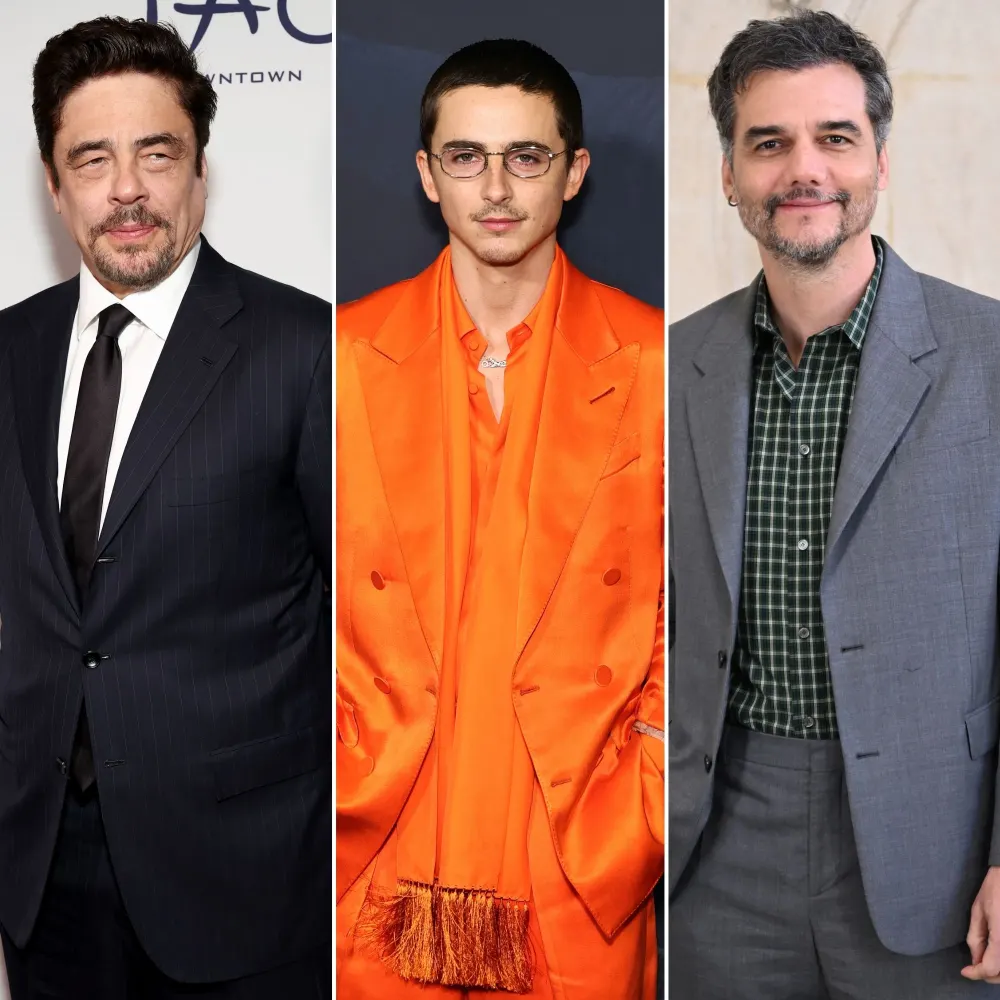 Benicio del Toro, Timothe&eacute; Chalamet y Wagner Moura