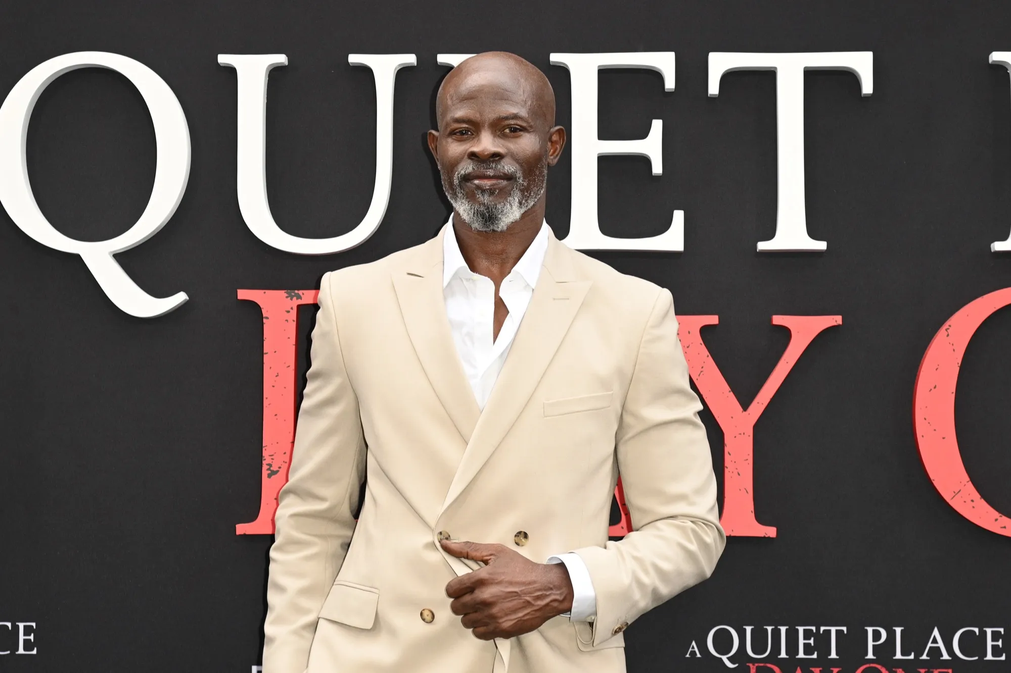 Djimon Hounsou Ex Girlfriend Riza Simpson Arrested for Allegedly Assaulting Him Amid Living Dispute