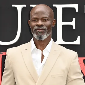 Djimon Hounsou Ex Girlfriend Riza Simpson Arrested for Allegedly Assaulting Him Amid Living Dispute