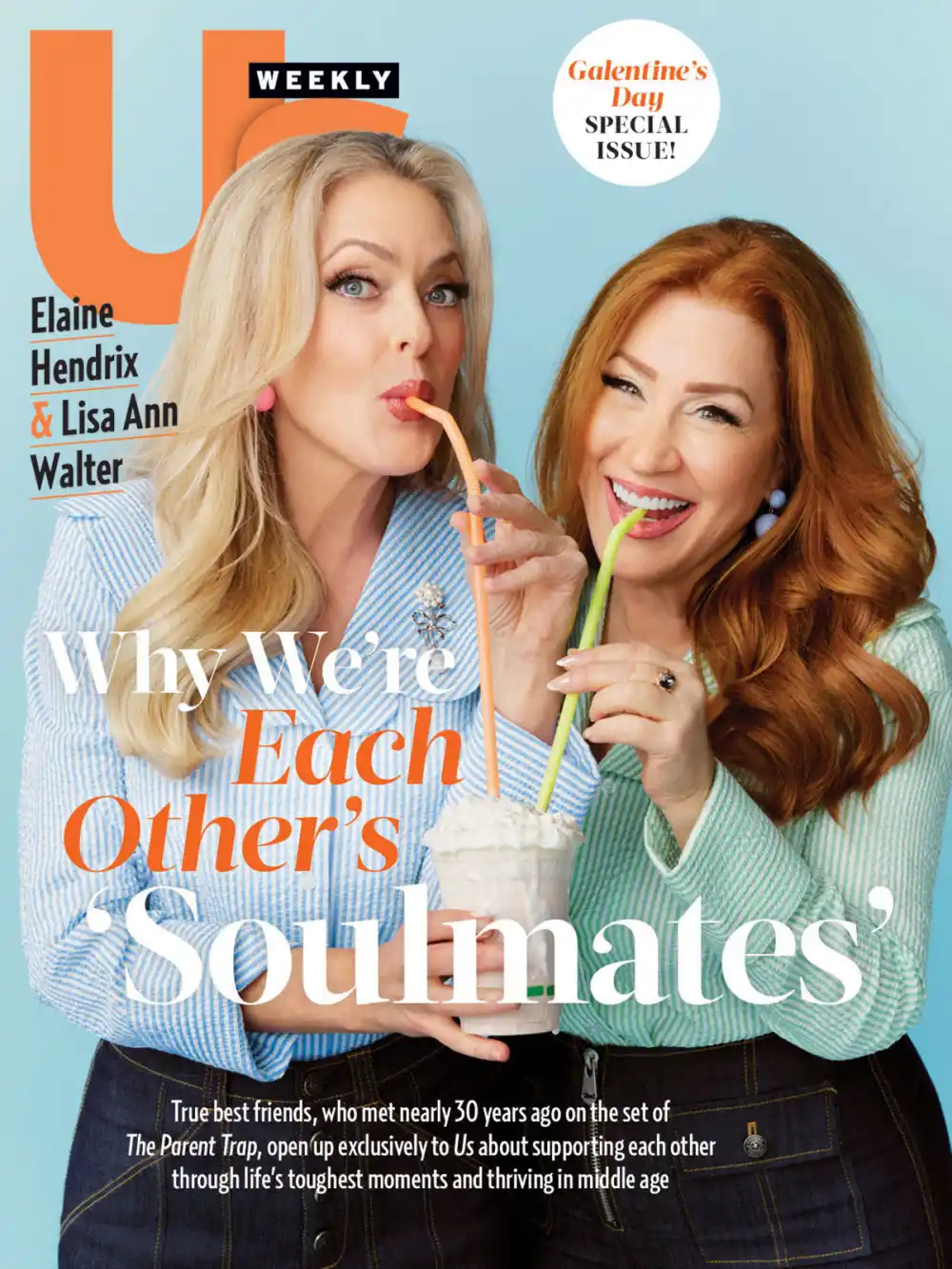 Elaine Hendrix and Lisa Ann Walter 2605 Luxury Handbag Shopping Cover No Chip