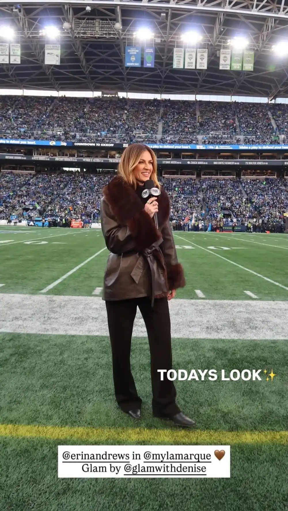 Erin Andrews Rocks Another Fur Coat During NFC Championship Game After Viral Moment