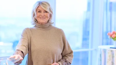 martha stewart lace slip