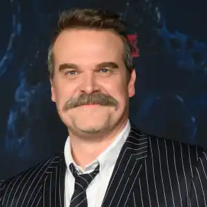David Harbour Drops Out of New Movie After Missing 'Stranger Things' Event