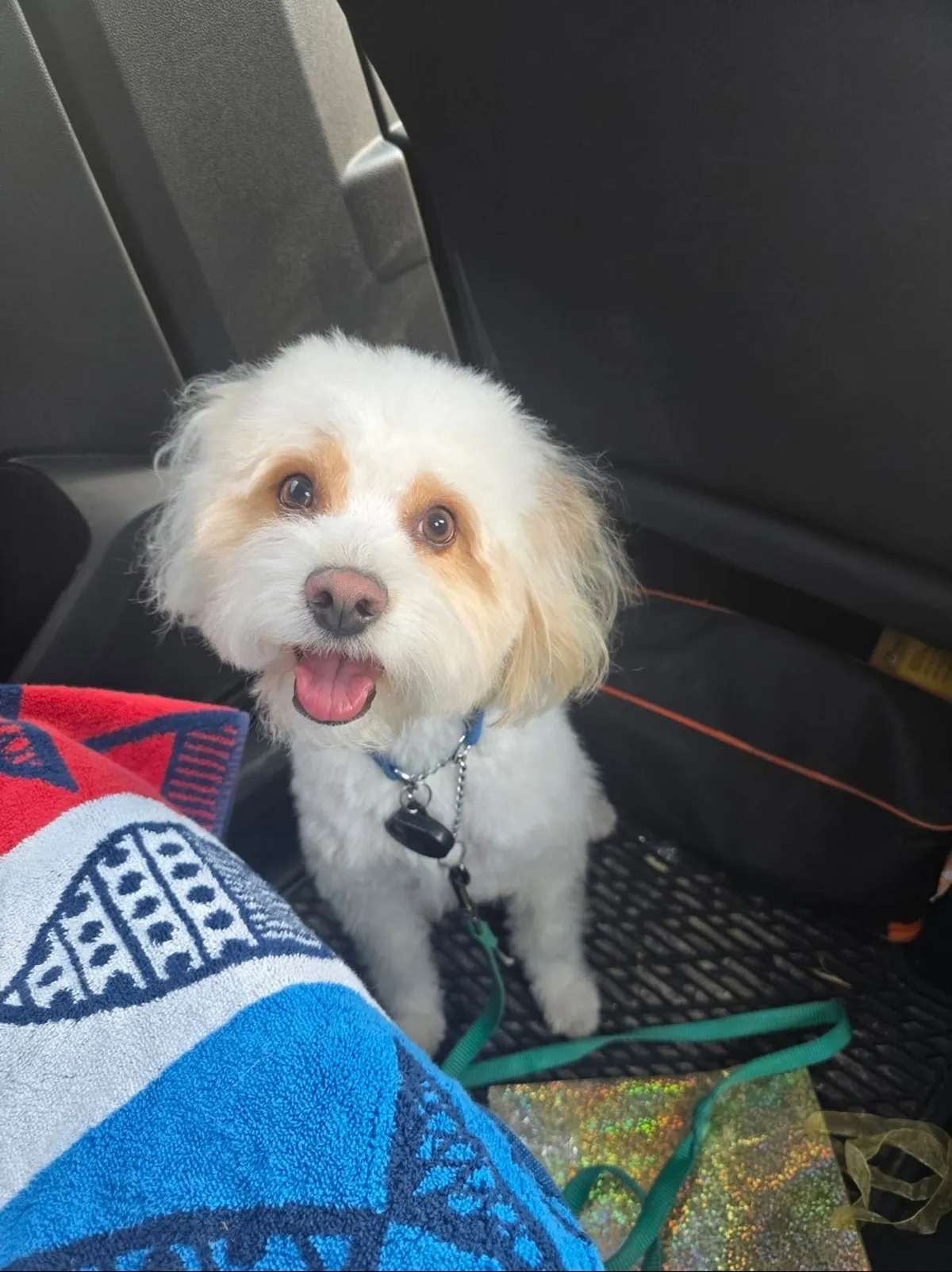 Hillsborough County Sheriffs Office